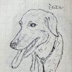 20250816_愛犬スケッチ
